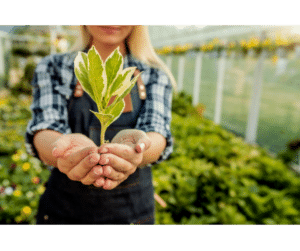cosmetiques naturels
